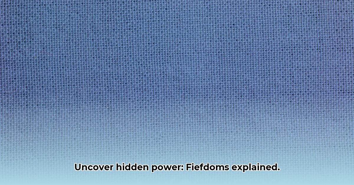 fiefdom-meaning